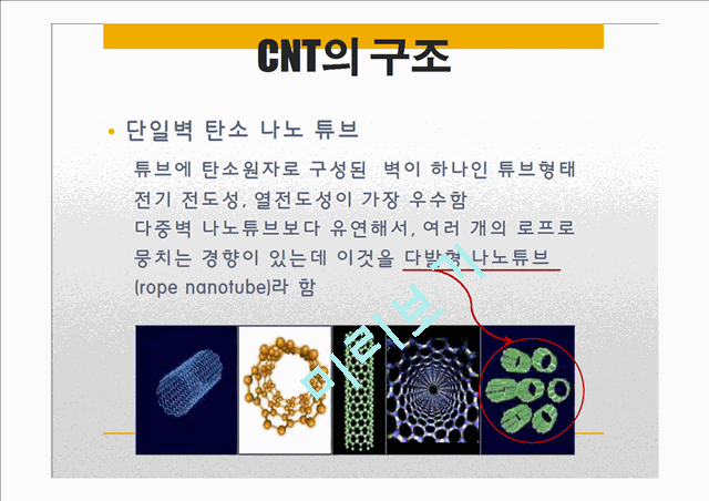 [자연과학] 전기화학 - Carbon Nano Tube[CNT] 탄소나노튜브의 응용   (8 )